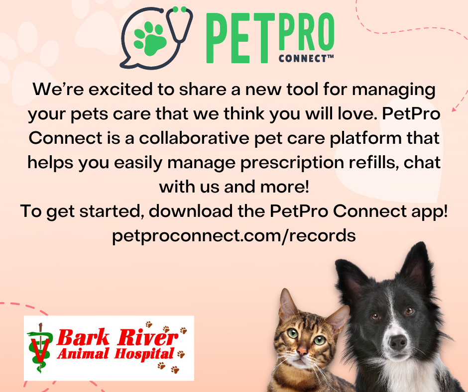 Dousman, WI 53118 Veterinarian Bark River Animal Hospital